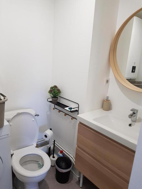 Studio Centre Ville Mont-De-Marsan Dış mekan fotoğraf